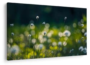 Slika - Trava (90x60 cm)