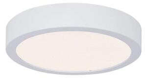 Paulmann 78923 - LED/13W IP44 Prigušiva stropna svjetiljka za kupaonicu AVIAR 230V