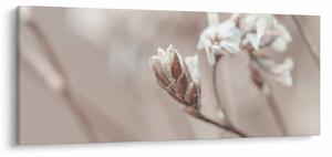 Slika - Detalj grane (120x50 cm)