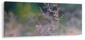Slika - Detalj trave (120x50 cm)