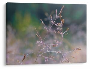 Slika - Detalj trave (70x50 cm)