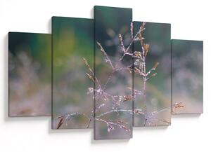 Slika - Detalj trave (150x105 cm)