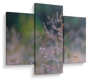 Slika - Detalj trave (90x60 cm)