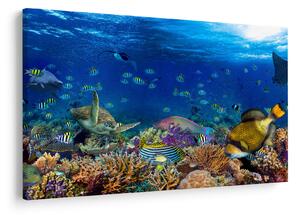 Slika - Ocean (90x60 cm)