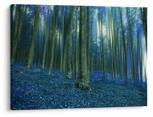 Slika - Plava šuma (70x50 cm)