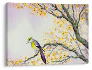 Slika - Akvarel ptica na drvetu (70x50 cm)