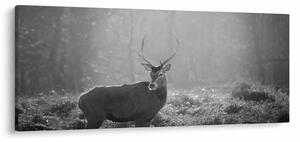Slika - Jelen u šumi, crno-bijela (120x50 cm)