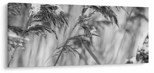 Slika - Lipnice, crno-bijela (120x50 cm)