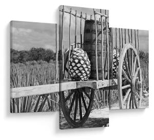 Slika - Prikolica, crno-bijela (90x60 cm)