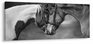 Slika - Zaljubljeni konji, crno-bijela (120x50 cm)