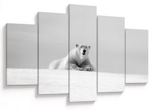 Slika - Polarni medvjed, crno-bijela (150x105 cm)