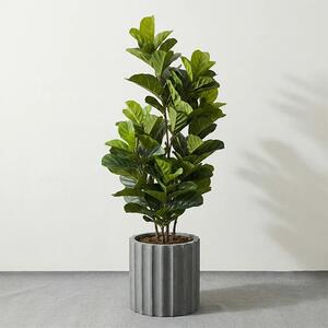 Umjetna smokva Lyrata 150 cm UV - 121 - 150 cm