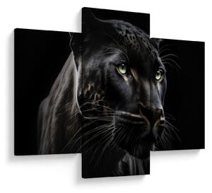 Slika - Crna pantera (90x60 cm)