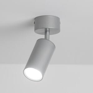Brilagi - Reflektorska svjetiljka za kupaonicu SELE 1xGU10/30W/230V IP44 srebrna