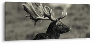 Slika - Jelen (120x50 cm)