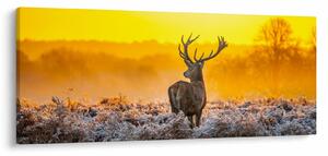 Slika - Jelen u izlasku sunca (120x50 cm)
