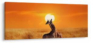 Slika - Žirafe u nacionalnom parku Serengeti (120x50 cm)