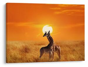 Slika - Žirafe u nacionalnom parku Serengeti (70x50 cm)