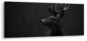 Slika - Portret jelena (120x50 cm)