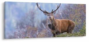 Slika - Jelen u krajoliku (120x50 cm)