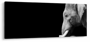 Slika - Slon (120x50 cm)