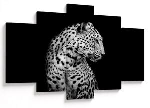 Slika - Leopard (150x105 cm)