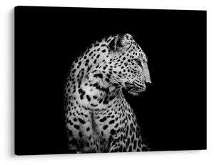 Slika - Leopard (70x50 cm)