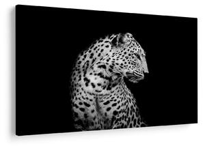 Slika - Leopard (90x60 cm)