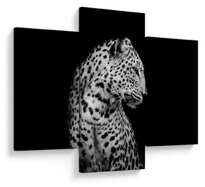 Slika - Leopard (90x60 cm)