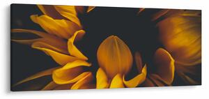 Slika - Suncokreti u crnoj pozadini (120x50 cm)