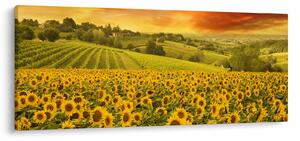 Slika - Polje suncokreta (120x50 cm)