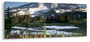 Slika - Mount Rainier (120x50 cm)