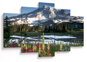 Slika - Mount Rainier (150x105 cm)