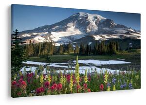 Slika - Mount Rainier (90x60 cm)