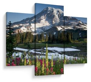 Slika - Mount Rainier (90x60 cm)