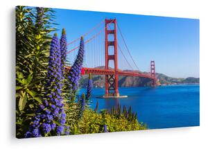 Slika - Most Golden Gate, San Francisco (90x60 cm)