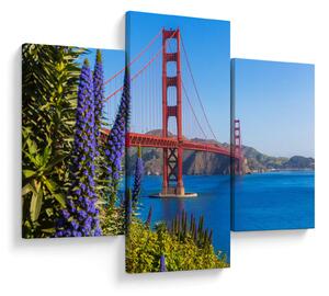 Slika - Most Golden Gate, San Francisco (90x60 cm)