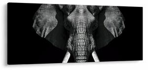 Slika - Slon na crnoj pozadini (120x50 cm)