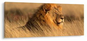 Slika - Nacionalni park Etosha (120x50 cm)