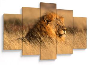 Slika - Nacionalni park Etosha (150x105 cm)