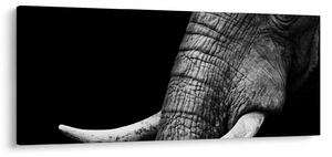 Slika - Slonove kljove (120x50 cm)