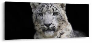 Slika - Snježni leopard (120x50 cm)