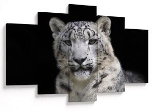 Slika - Snježni leopard (150x105 cm)