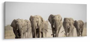 Slika - Krdo slonova (120x50 cm)