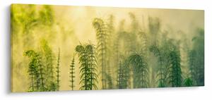 Slika - Detalj proljetne maglovite prirode (120x50 cm)