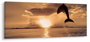 Slika - Delfin na zalasku sunca (120x50 cm)