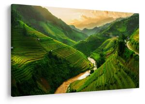 Slika - Mu Cang Chai rižine terase (90x60 cm)