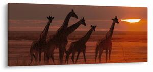 Slika - Žirafe u afričkoj savani (120x50 cm)