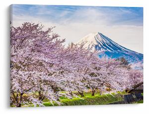 Slika - Japan u proljeće (70x50 cm)