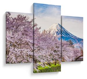 Slika - Japan u proljeće (90x60 cm)